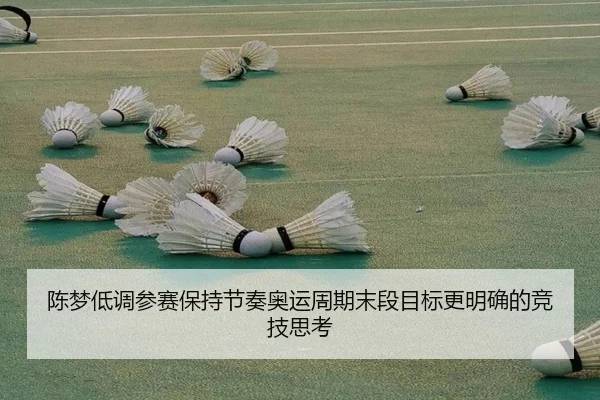 陈梦低调参赛保持节奏奥运周期末段目标更明确的竞技思考